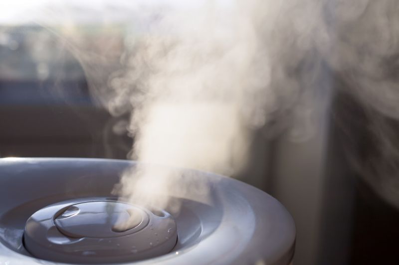 Residential Humidifier Service in Sarasota, FL